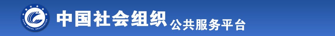 高清无码插骚逼全国社会组织信息查询